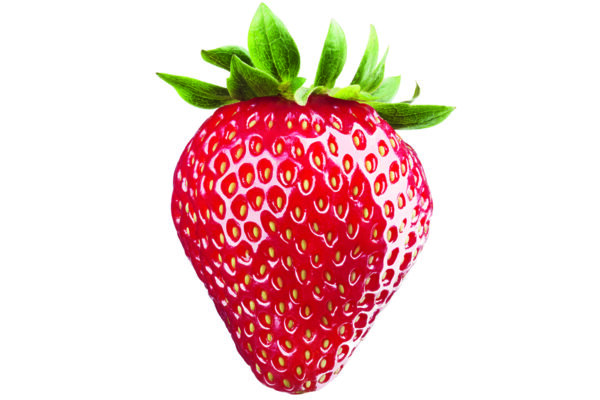 Fresh Strawberry