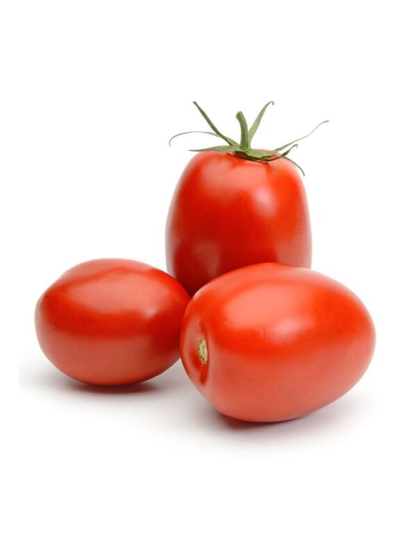 Fresh Ripe Tomatoes