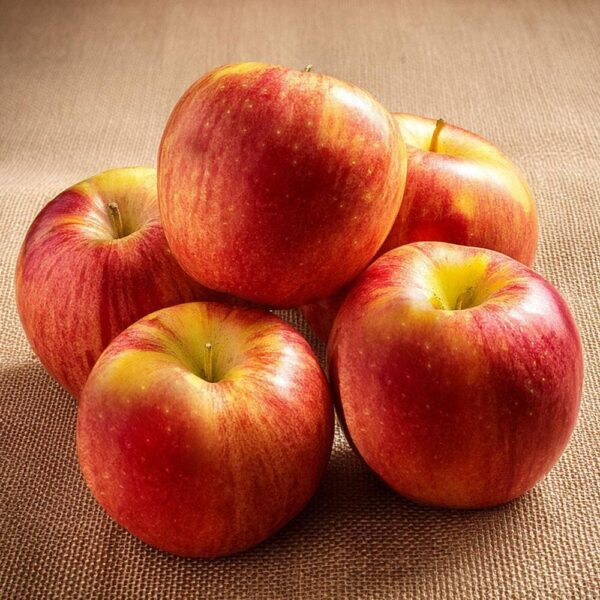 Apple (Gala)