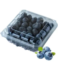 Blueberry -1 Packet-(180gm)