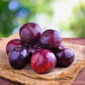 Plum